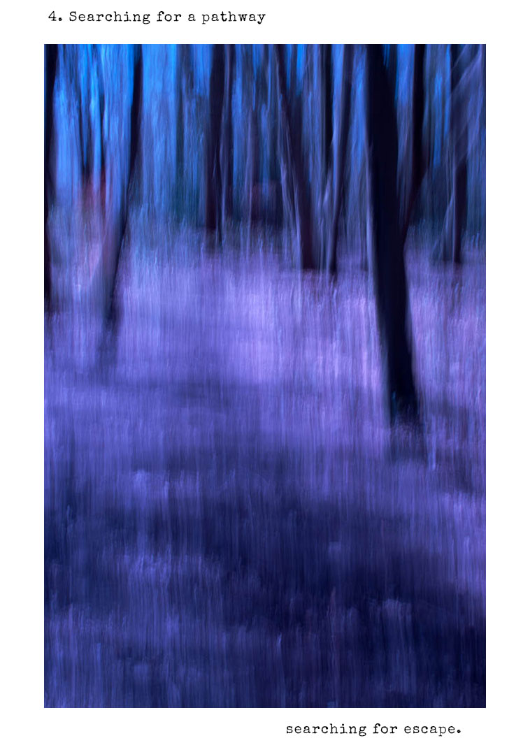 4 SEARCHING FOR A PATHWAY WEB FRAME36