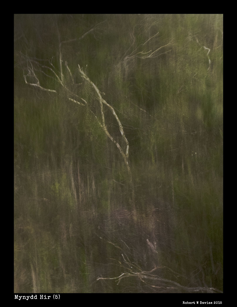 IMG 3807WEBSITE VERSION