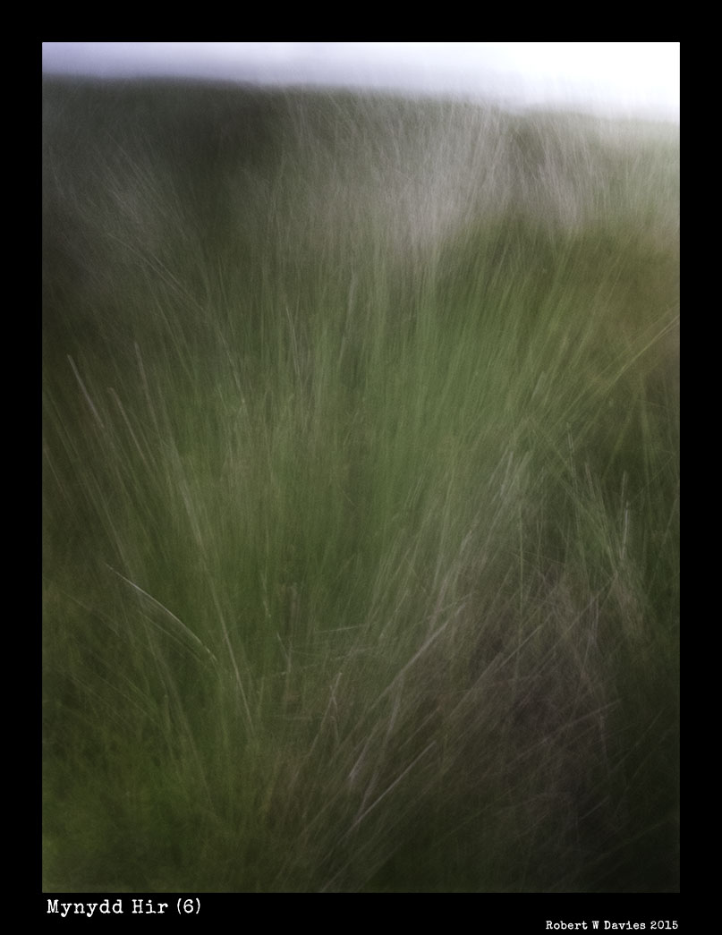 IMG 3817WEBSITE VERSION