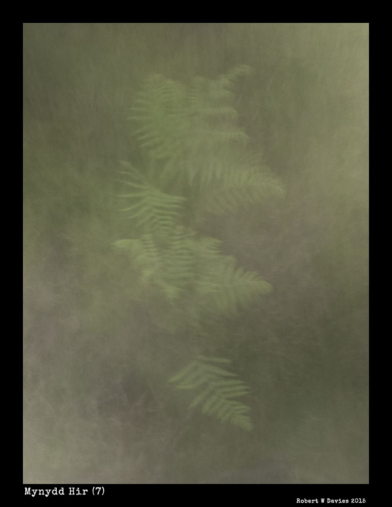 IMG 3860WEBSITE VERSION