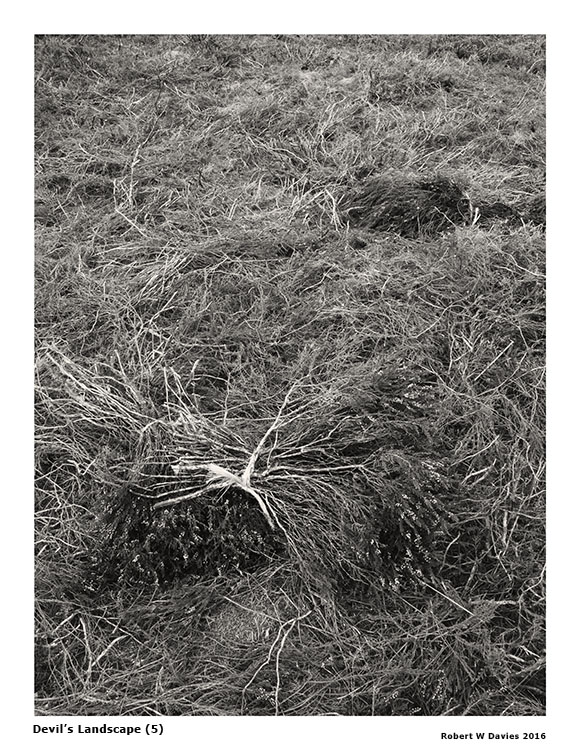 IMG 4513 WEB VERSION ROBERT W DAVIES