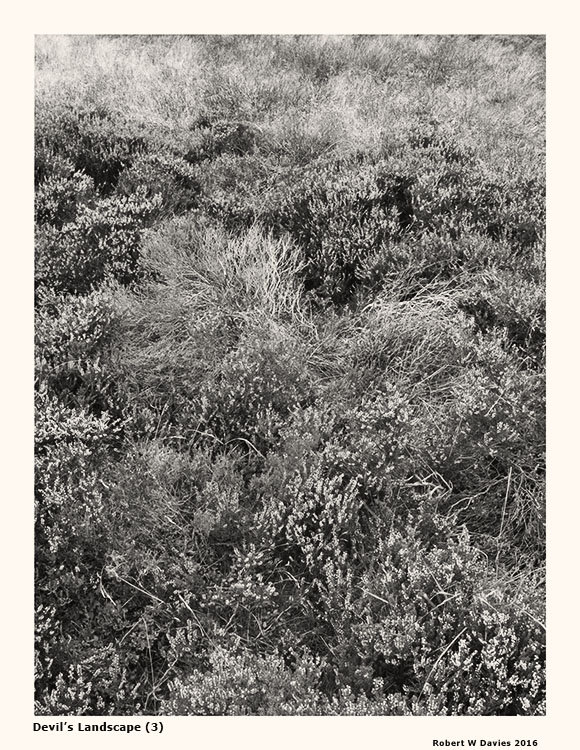 IMG 4518 WEB VERSION ROBERT W DAVIES