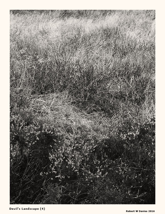 IMG 4519 WEB VERSION ROBERT W DAVIES